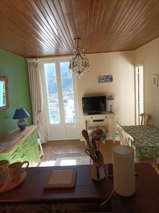 Apartmán Lumineux 2 Pieces A St Martin Saint-Martin-Vésubie Exteriér fotografie